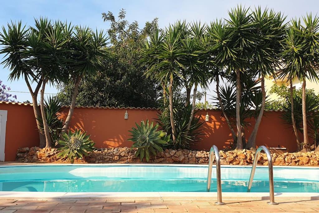 פארו Villa Dos Patudos מראה חיצוני תמונה